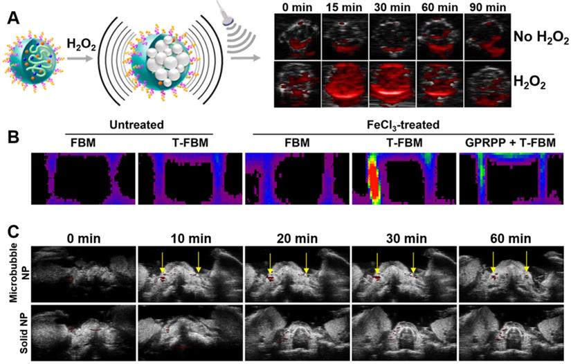 Theranostics Image