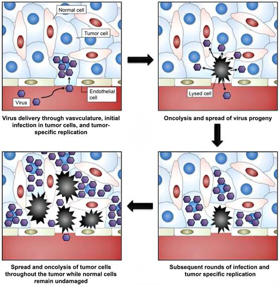 Theranostics Image