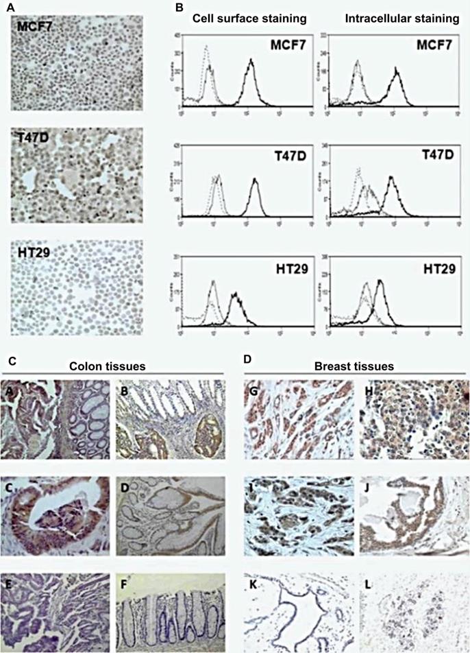 Theranostics Image