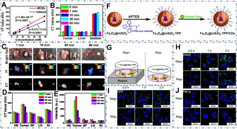 Theranostics Image