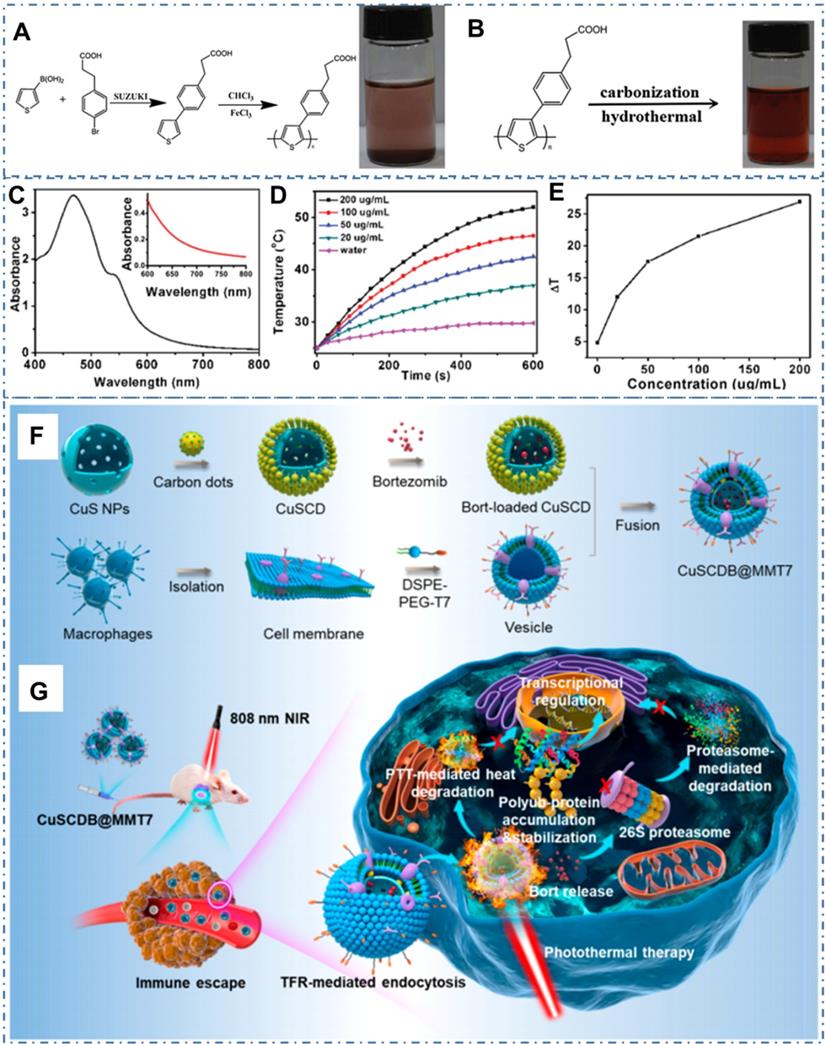 Theranostics Image