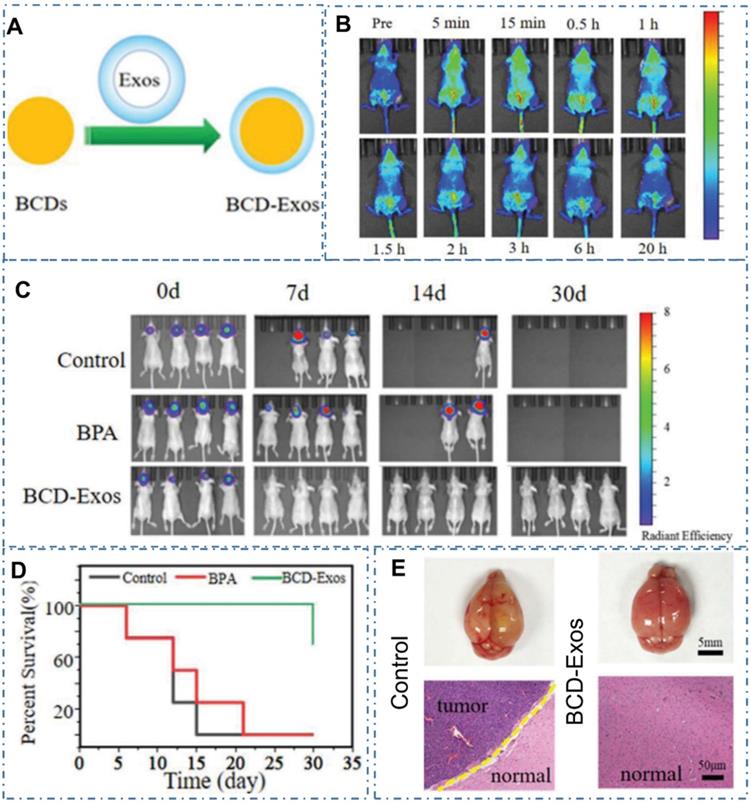 Theranostics Image