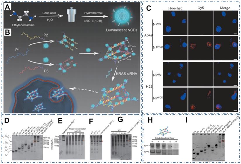 Theranostics Image