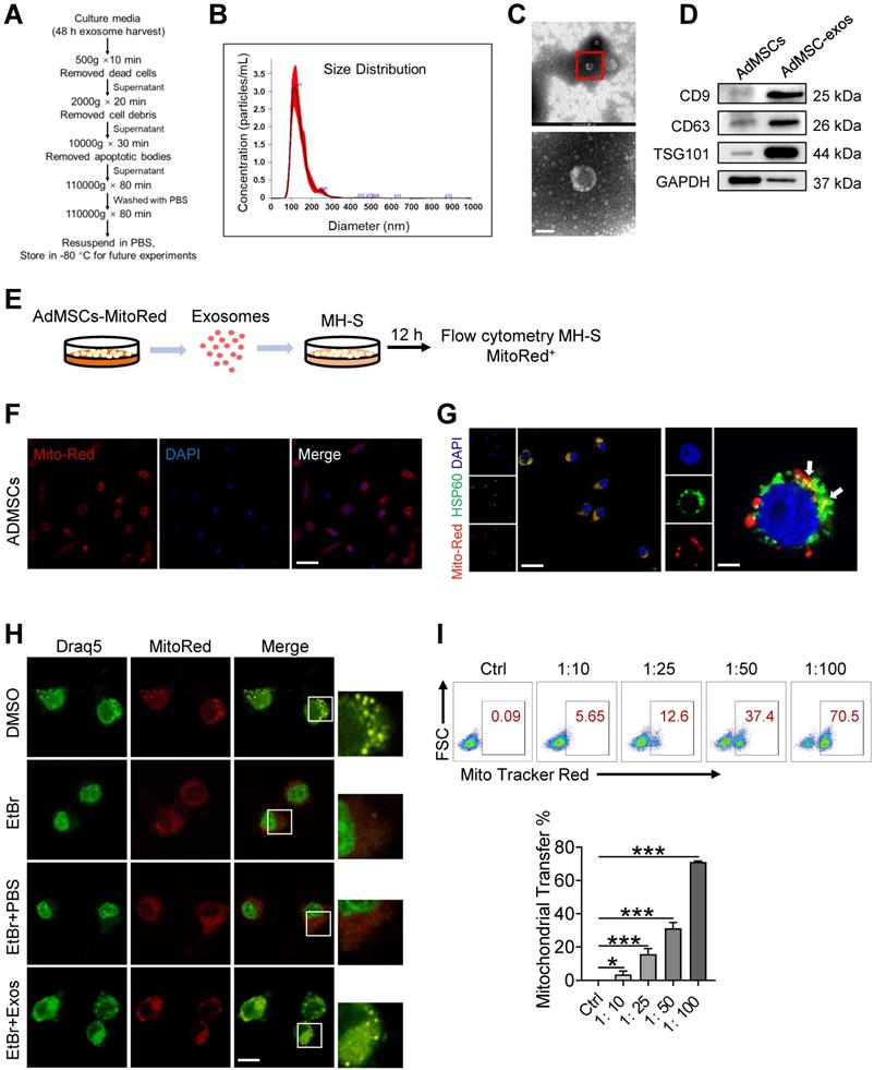 Theranostics Image