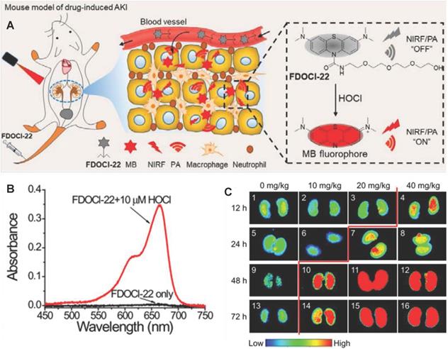 Theranostics Image