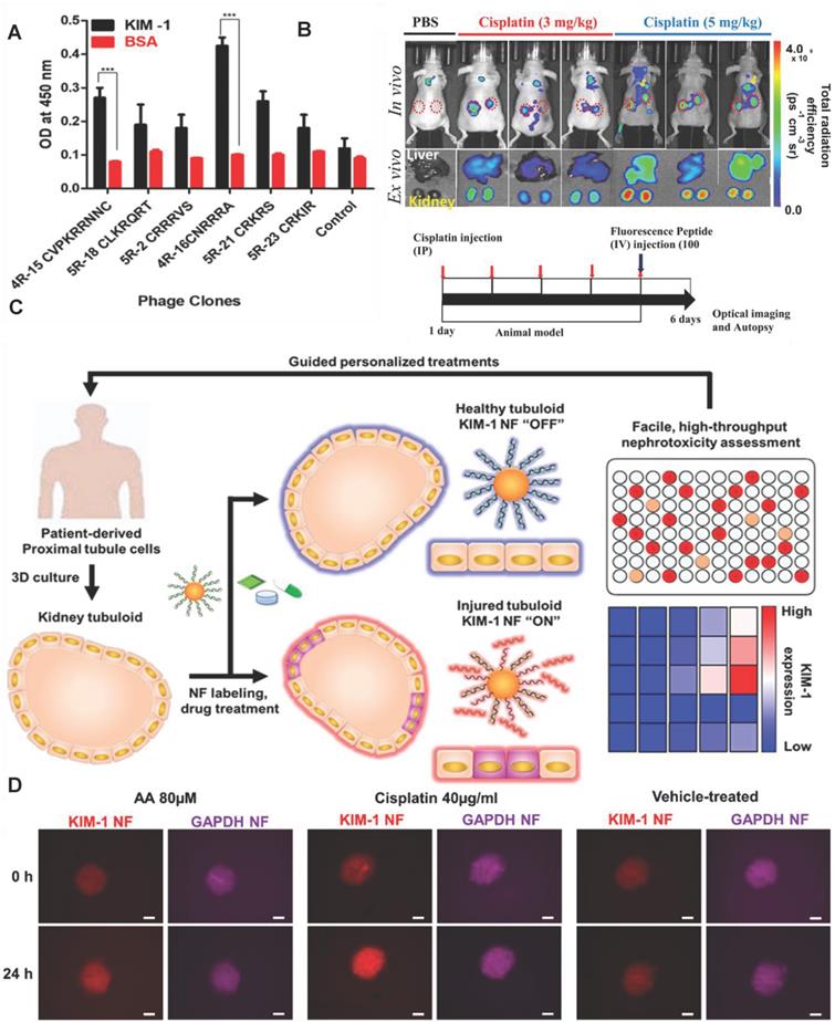 Theranostics Image