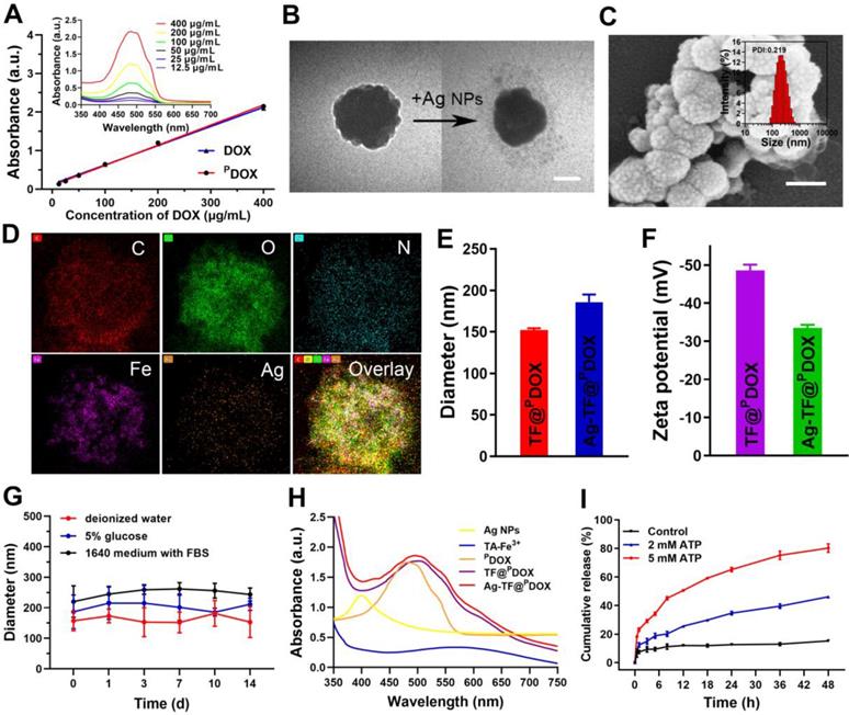 Theranostics Image