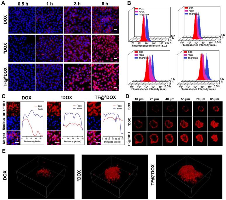 Theranostics Image