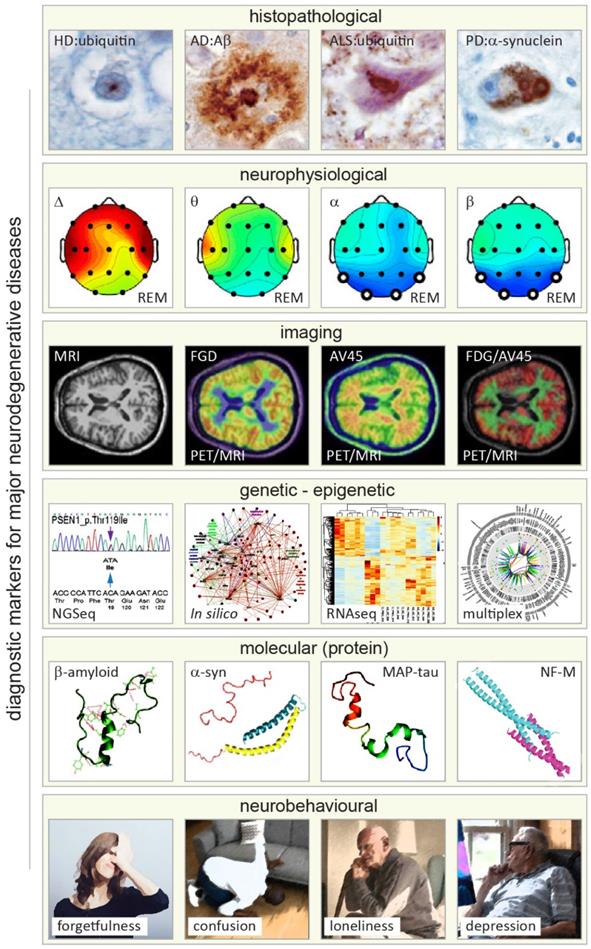 Theranostics Image