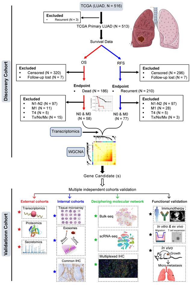 Theranostics Image