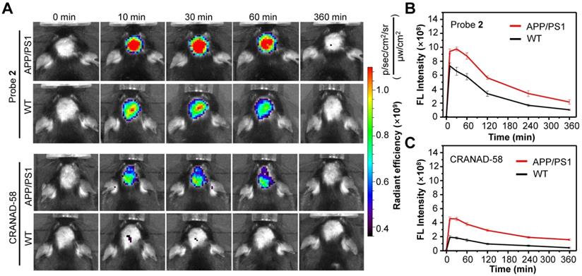 Theranostics Image