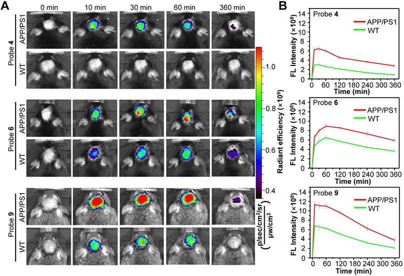 Theranostics Image