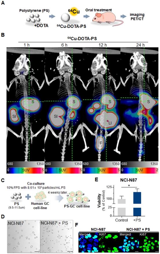 Theranostics Image