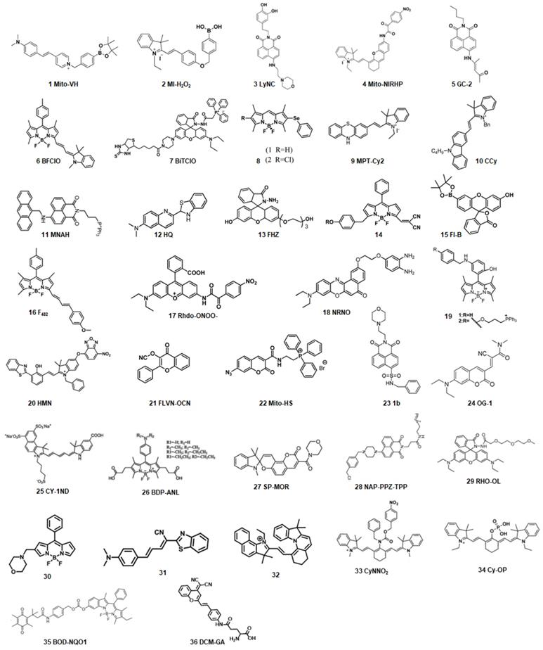 Theranostics Image