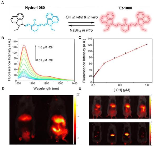 Theranostics Image