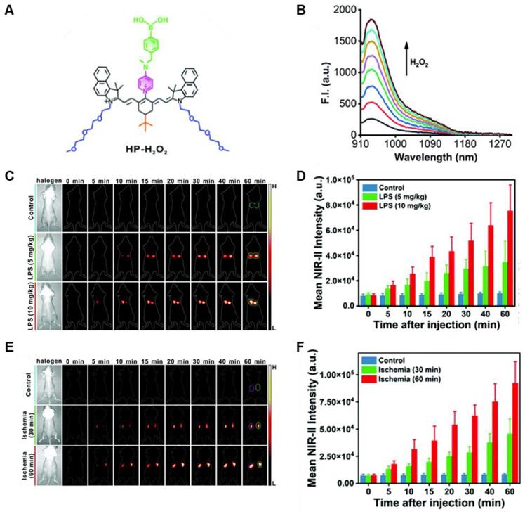 Theranostics Image