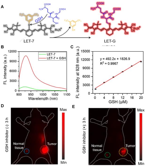 Theranostics Image