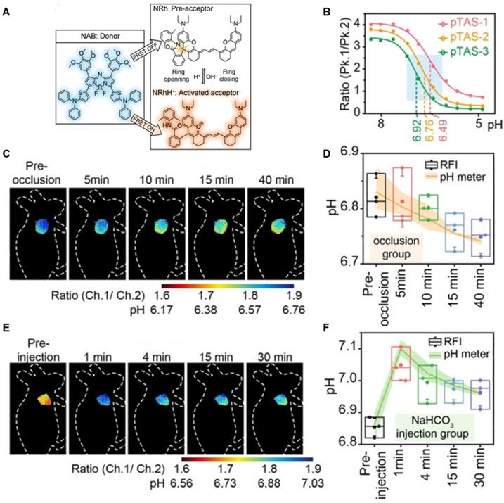 Theranostics Image