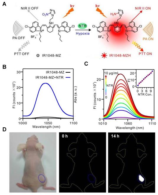 Theranostics Image