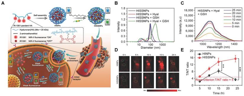 Theranostics Image