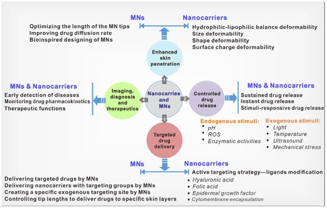 Theranostics Image