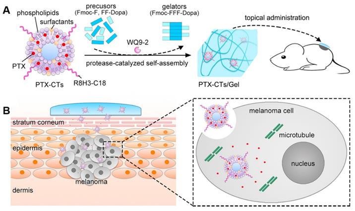 Theranostics Image