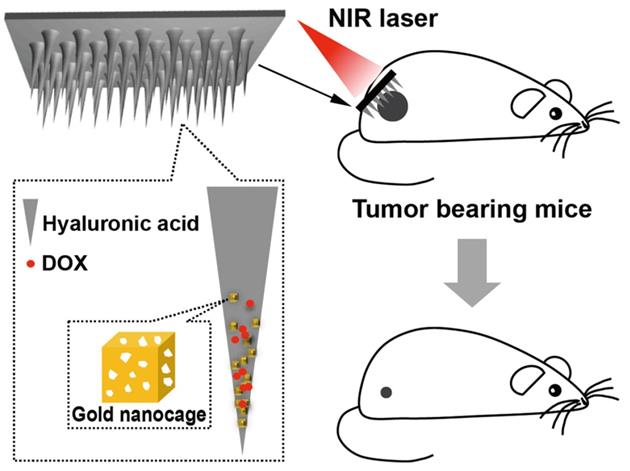 Theranostics Image