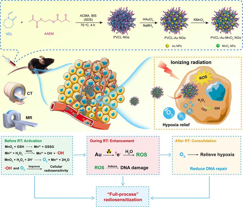 Theranostics Image