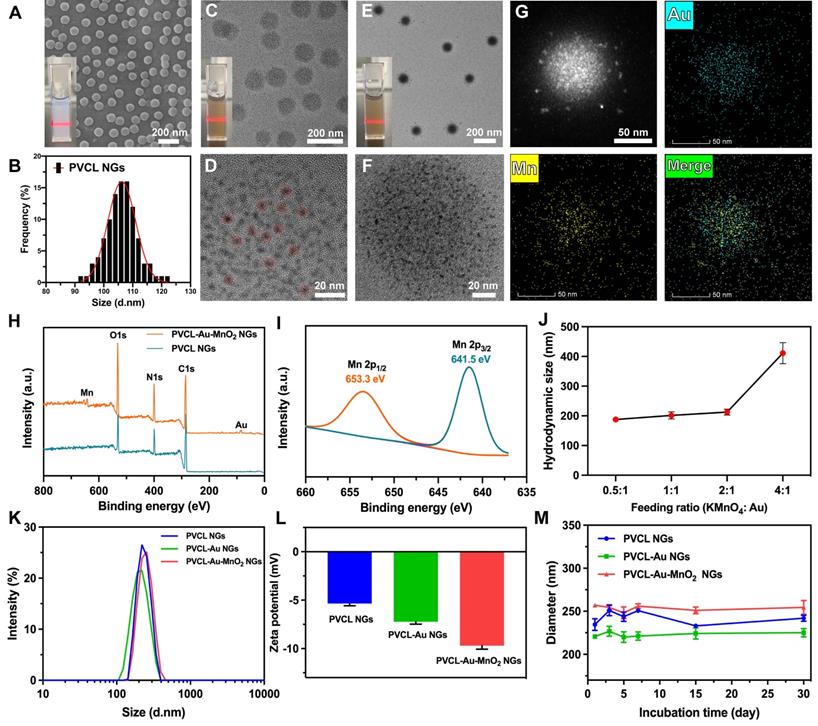 Theranostics Image