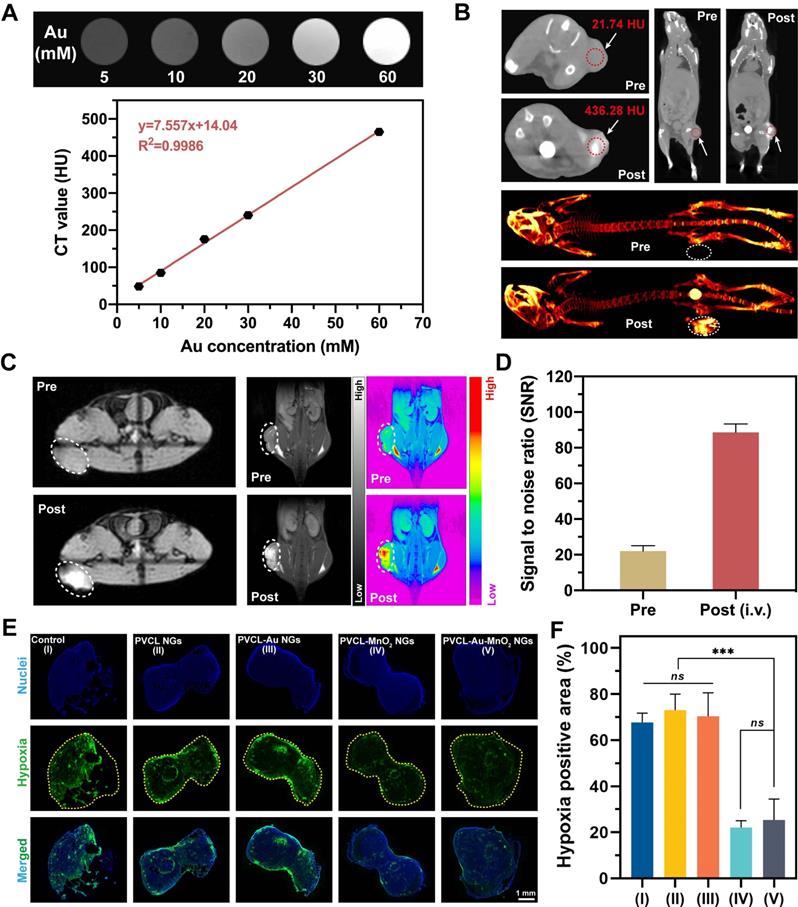 Theranostics Image