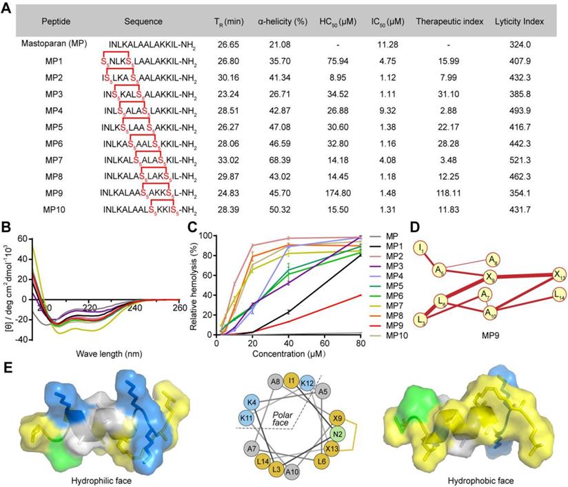 Theranostics Image