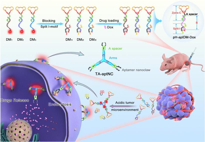 Theranostics Image