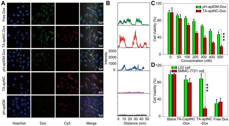 Theranostics Image