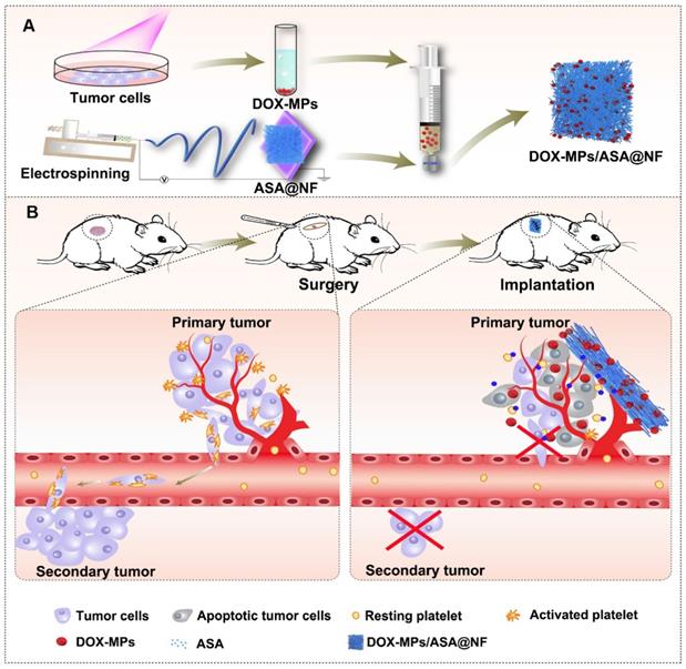 Theranostics Image