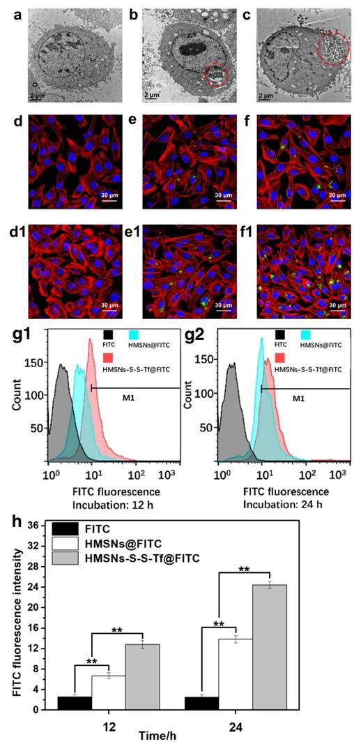 Theranostics Image