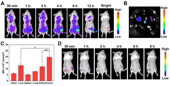 Theranostics Image