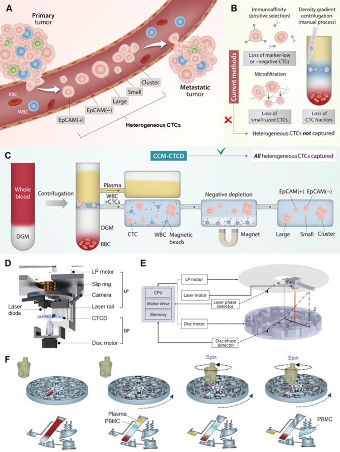 Theranostics Image