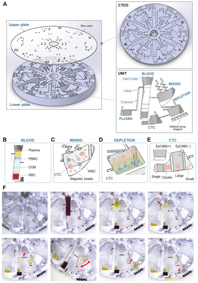 Theranostics Image