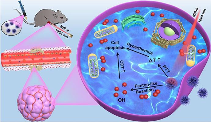 Theranostics Image