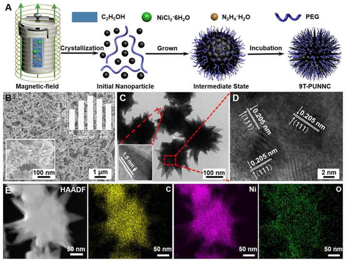 Theranostics Image