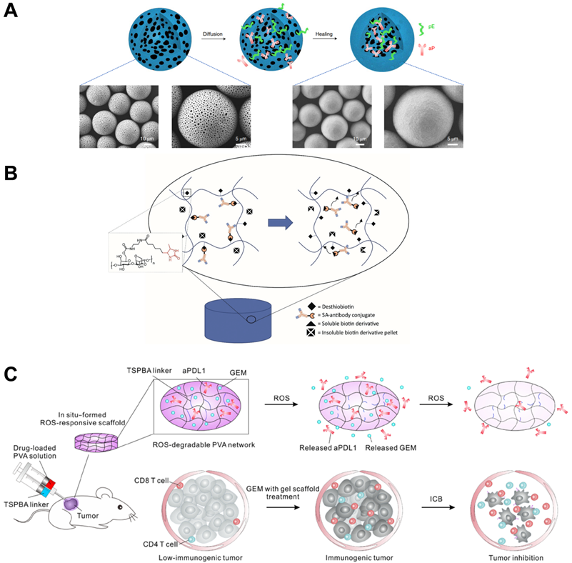 Theranostics Image