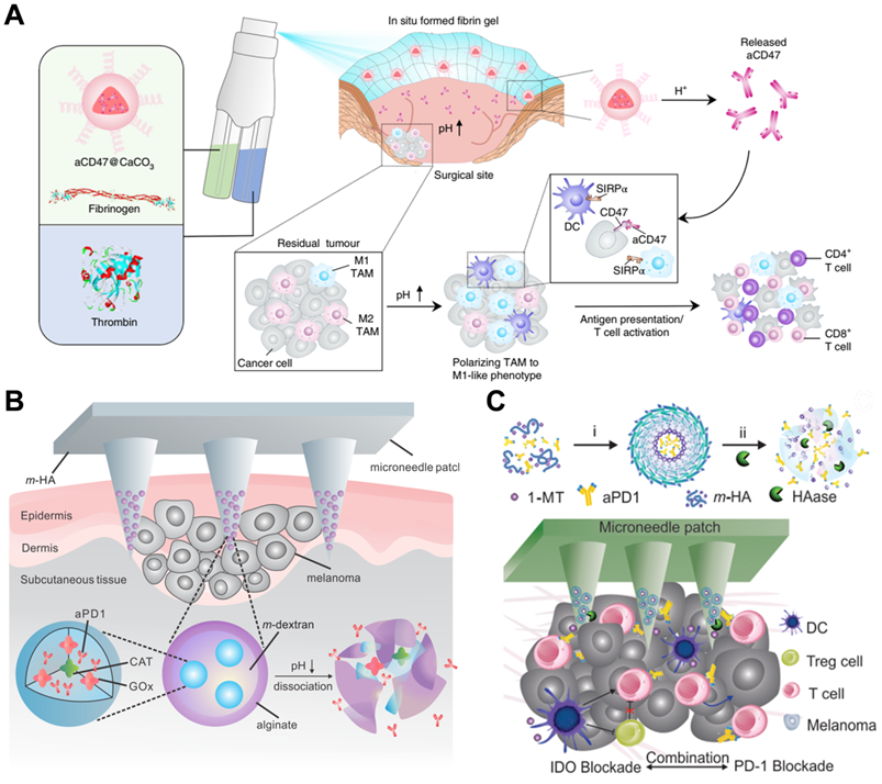 Theranostics Image