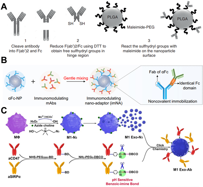 Theranostics Image