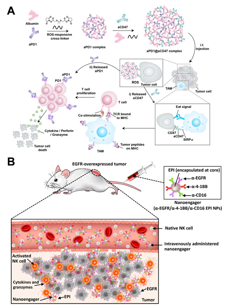 Theranostics Image