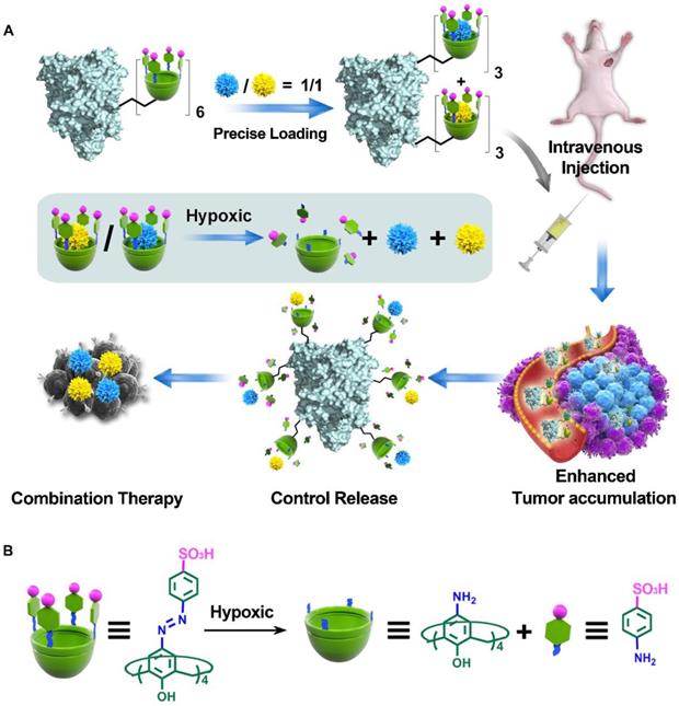 Theranostics Image