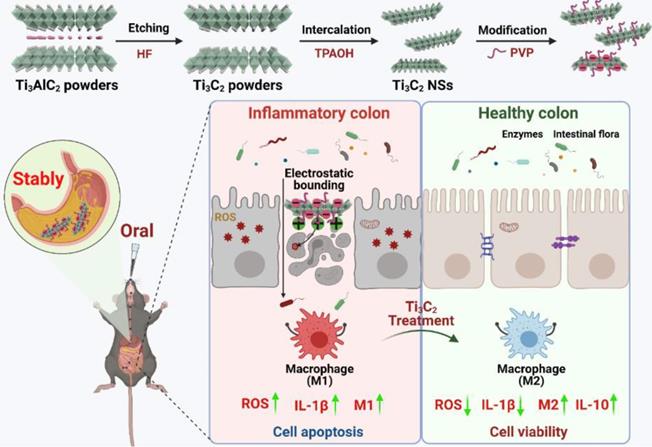 Theranostics Image