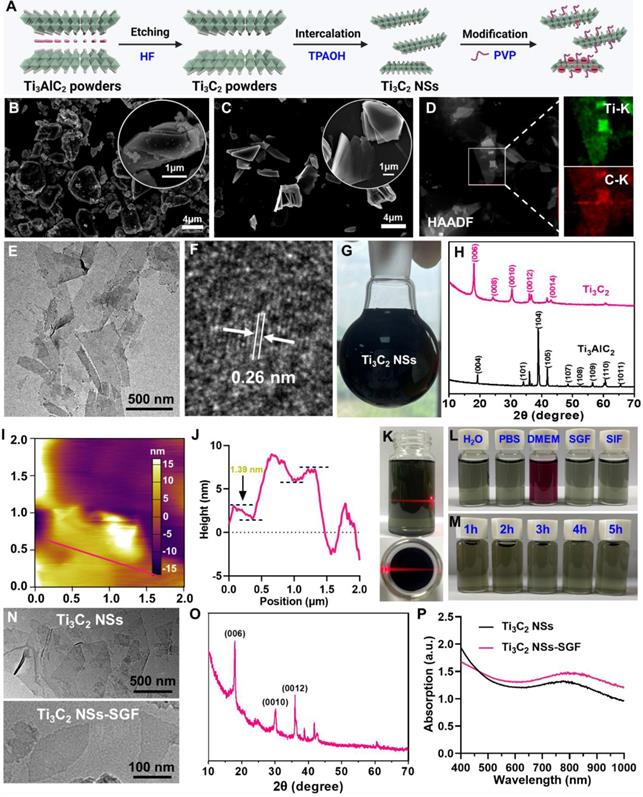 Theranostics Image