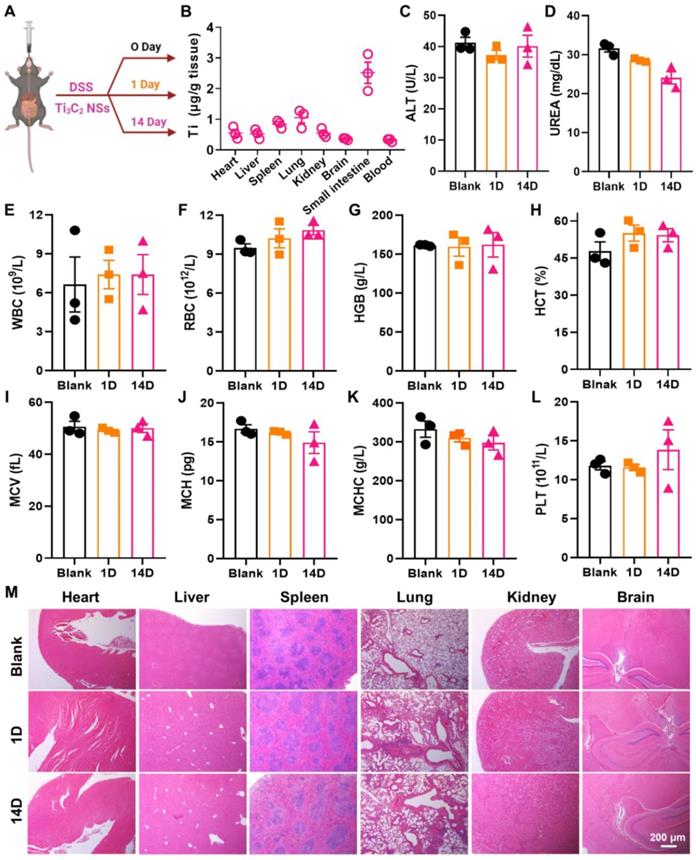 Theranostics Image