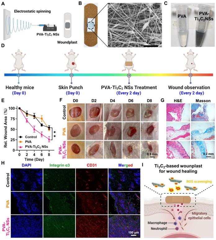 Theranostics Image