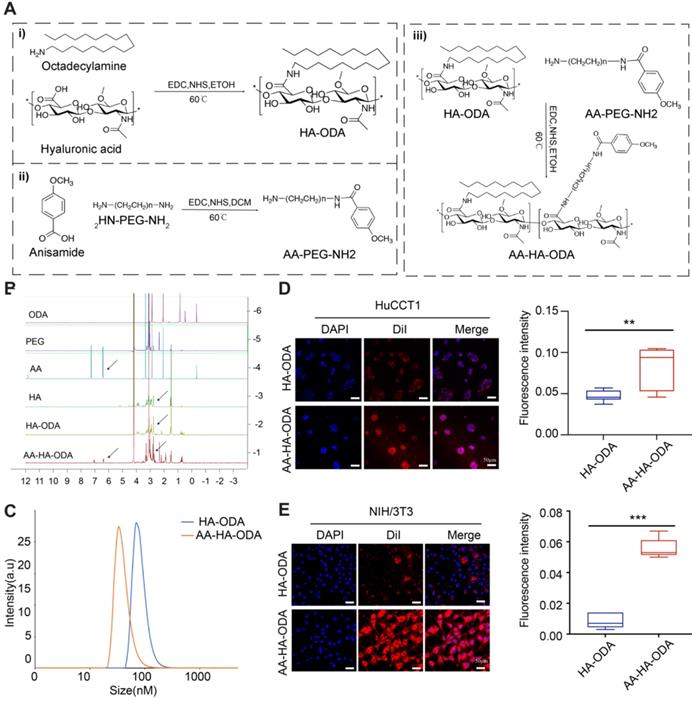 Theranostics Image